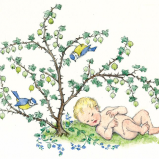 molly brett ansichtkaart baby under a gooseberry bush with blue tits