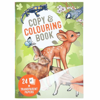 copy and colouring book