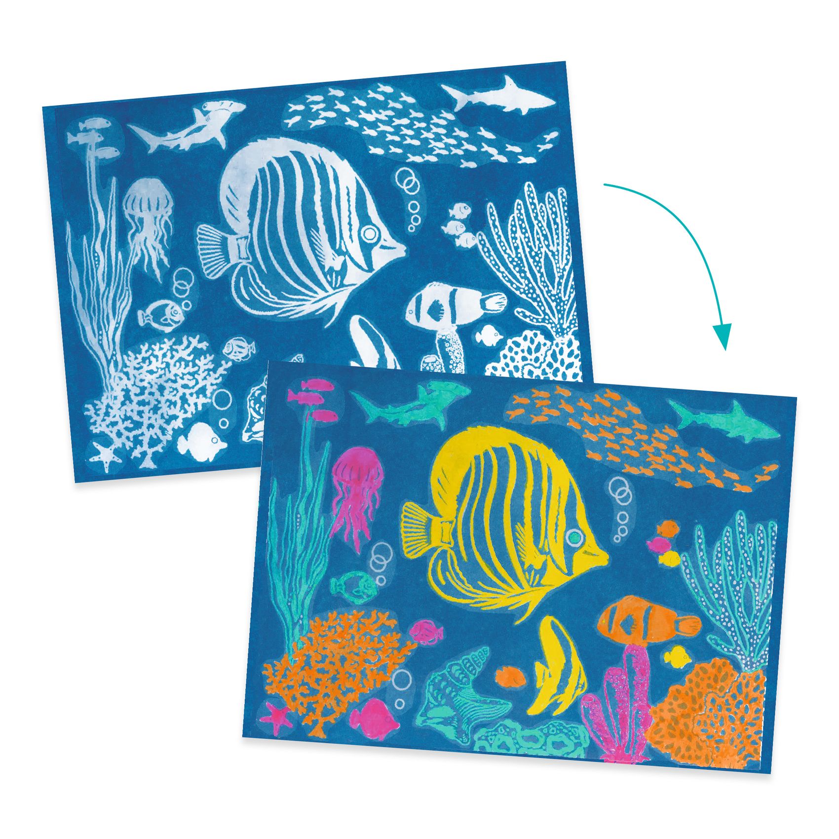 Djeco Cyanotype Djeco Cyanotype