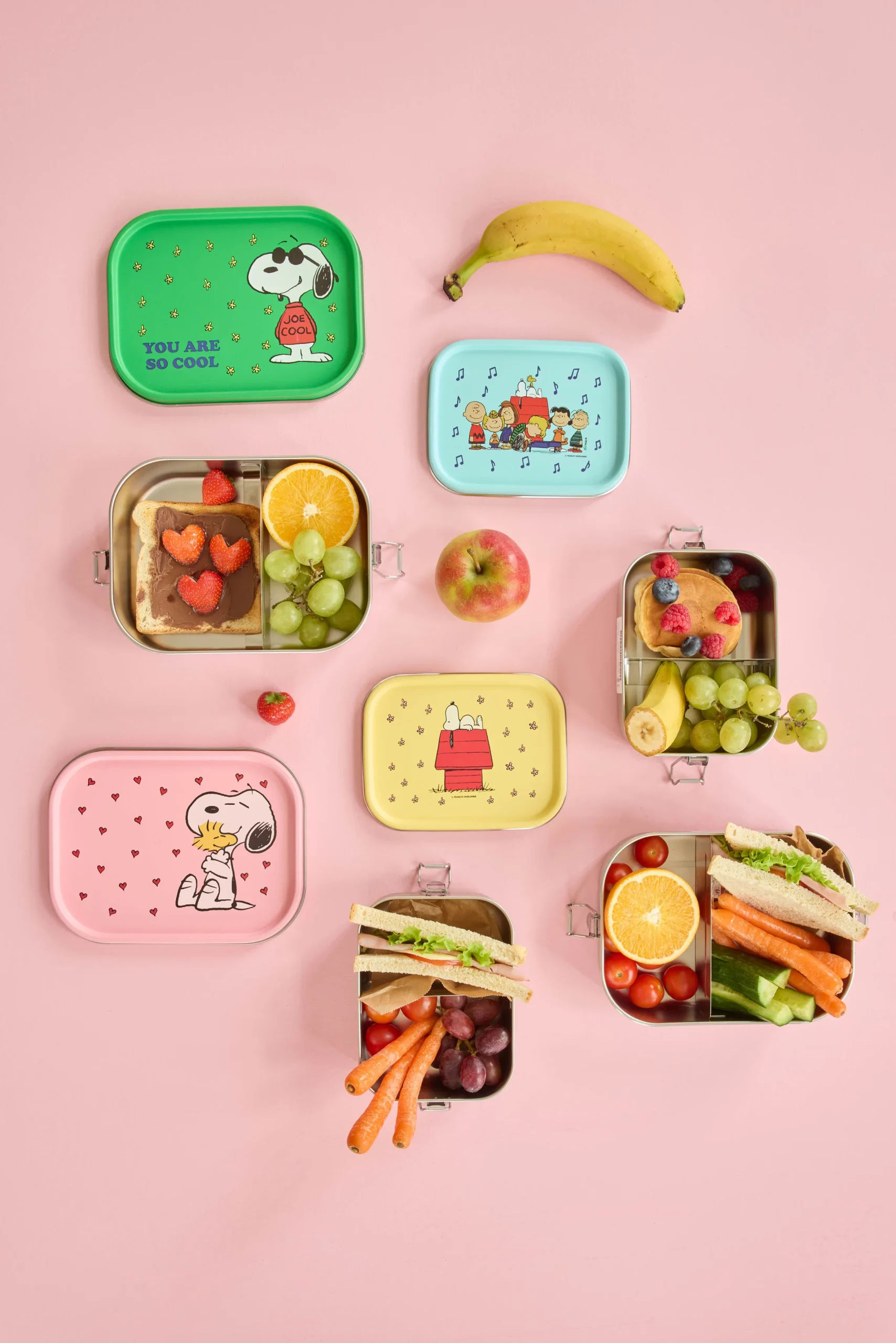 Rice Small Stainless Steel Lunch box - Blue - Snoopy Print